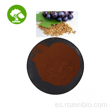 El mejor precio procianidina 95% de extracto de semilla de uva
